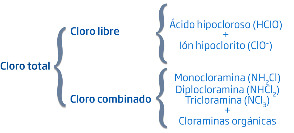 Esquema de cloro total, cloro libre y cloro combinado en agua de piscina