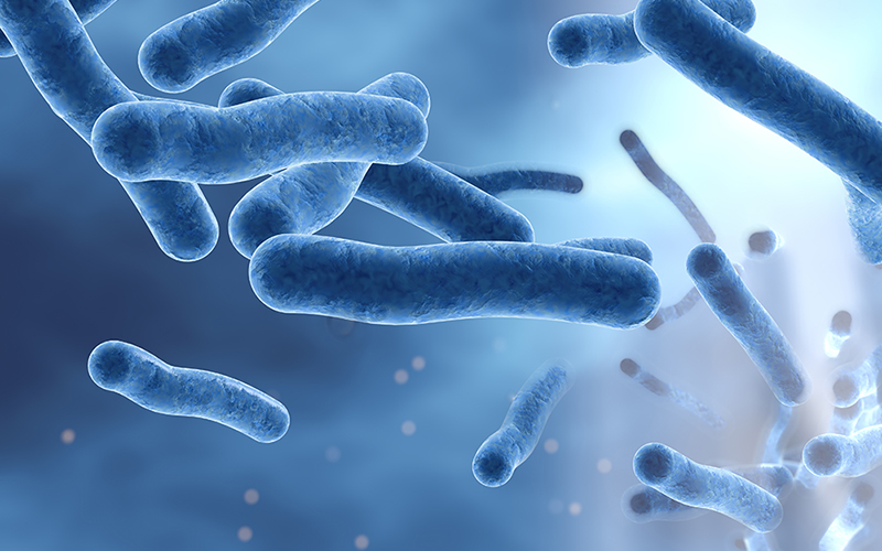 Normativa vigente sobre legionella: RD 742/2013, RD 487/2022 y RD 614/2024